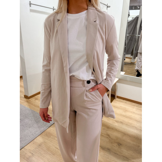 JDYGEGGO NEW LONG PANT NOOS