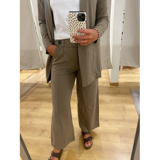 JDYGEGGO NEW LONG PANT NOOS