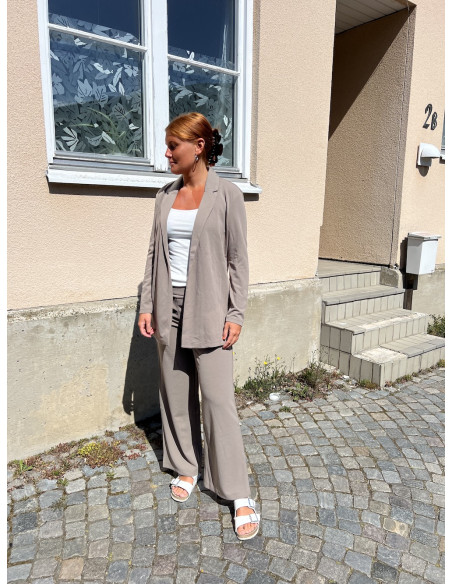 JDYGEGGO NEW LONG PANT NOOS