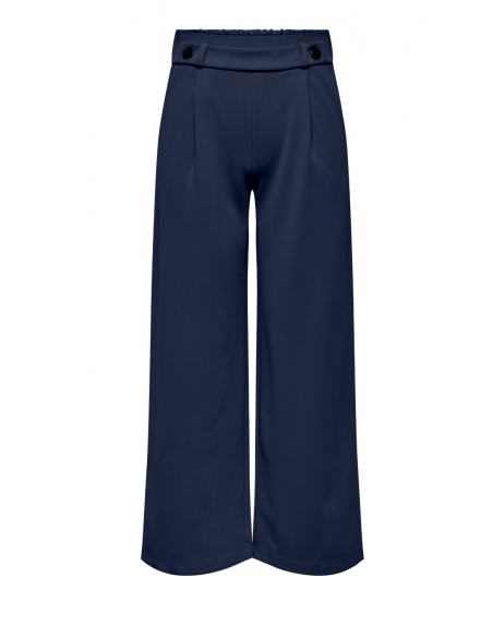 JDYGEGGO NEW LONG PANT NOOS