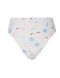 PCLIPPA ULTRA HW BRIEF 2