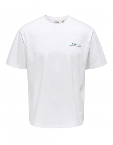 ONSFRED LIFE MID CENTURY RLX SS TEE