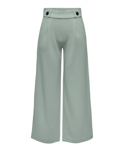 JDYGEGGO NEW LONG PANT NOOS