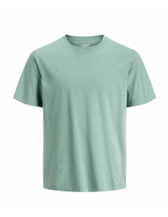 JJEORGANIC BASIC TEE SS O-NECK NOOS 2