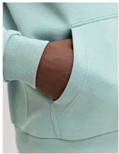 JJEBRADLEY SWEAT HOOD 2
