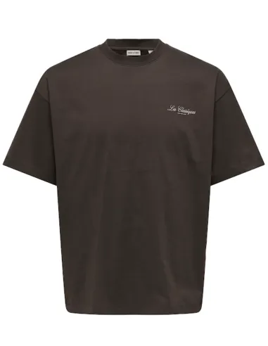 ONSLES CLASSIQUES LOOSE PRINT SS TEE